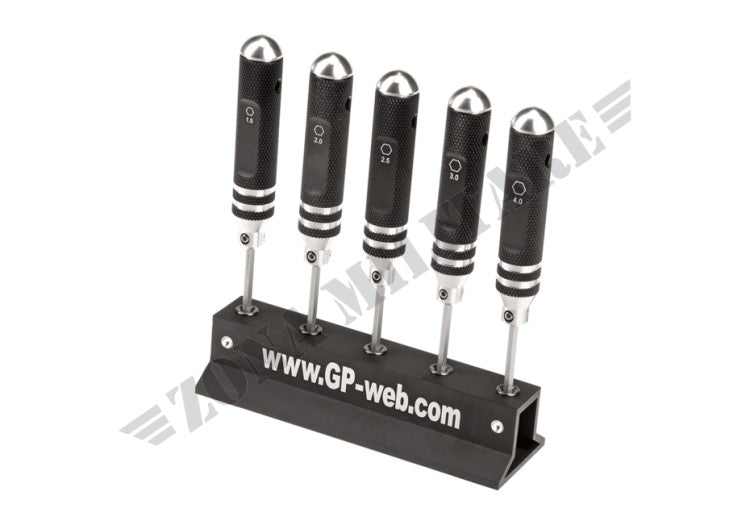 Set Precision Screwdriver Hex G&P